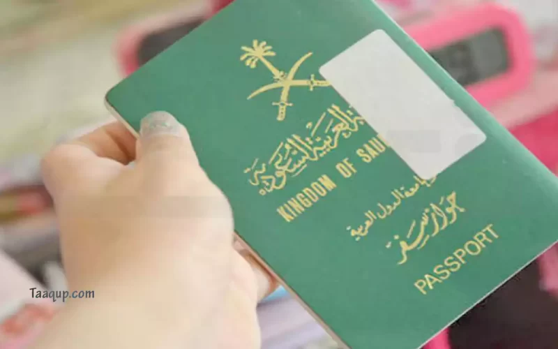 بالفيديو.. خطوات تحديث بيانات جواز السفر السعودي.. عبر منصة أبشر