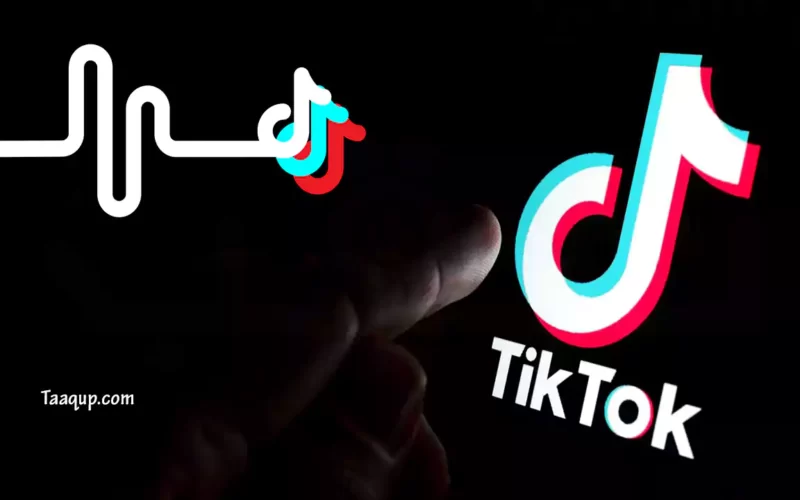 TikTok | تحميل مقاطع فيديو من التيك توك بدون حقوق “بدون علامة مائية” أفضل الطرق 2022